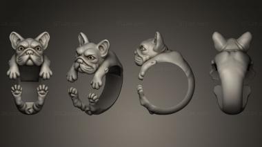 Jewelry rings Bul Bul Rings 2 3d model